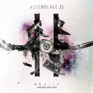 Assemblage 23 15