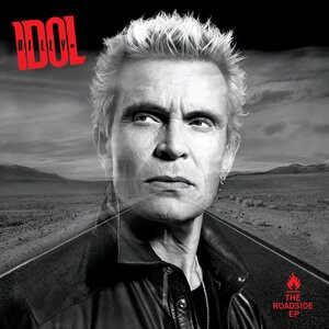 Billy Idol 21