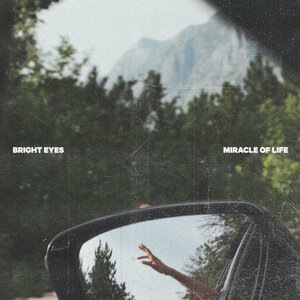Bright Eyes 24