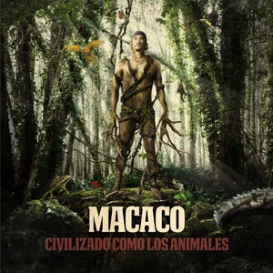 Macaco 13