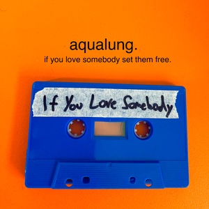 Aqualung 13