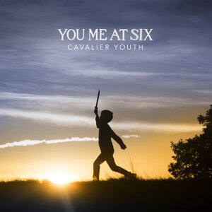 You Me At Six 14