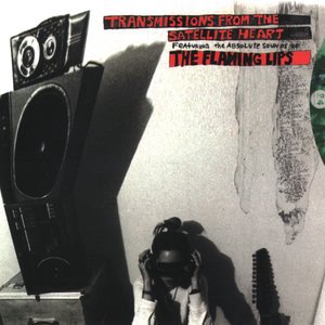 The Flaming Lips 25