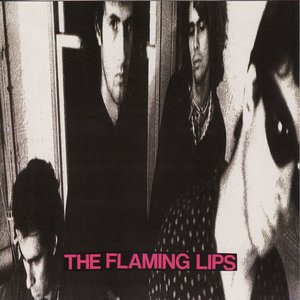 The Flaming Lips 23