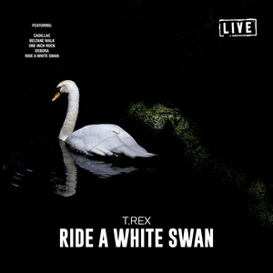Ride a White Swan