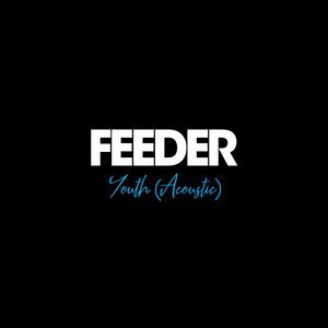 Feeder 41