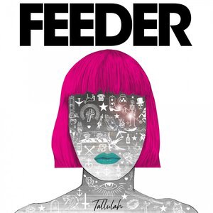 Feeder 40