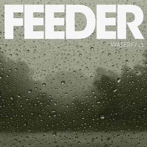 Feeder 39