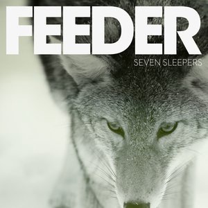 Feeder 38