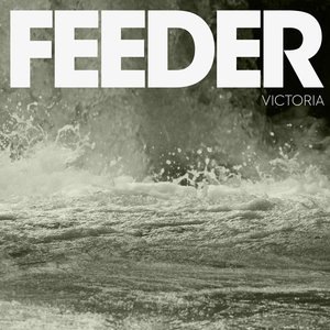 Feeder 37