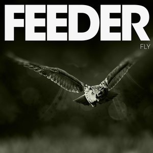 Feeder 35