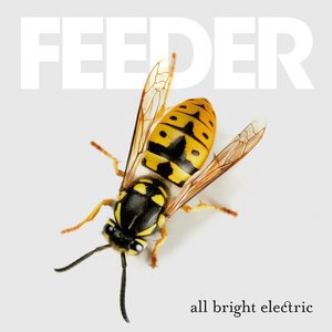 Feeder 28