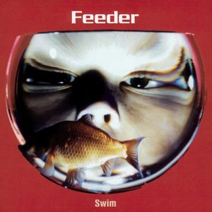 Feeder 12