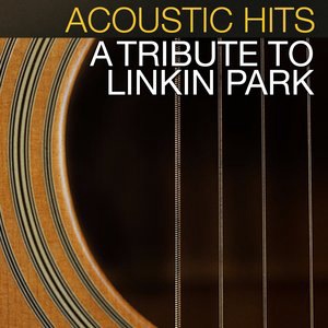 Acoustic Hits 20