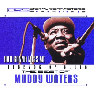 Muddy Waters 120