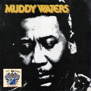 Muddy Waters 119