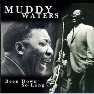 Muddy Waters 113