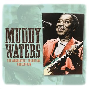 Muddy Waters 110