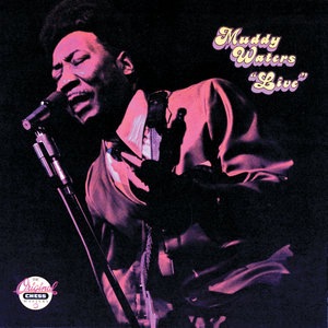 Muddy Waters 90