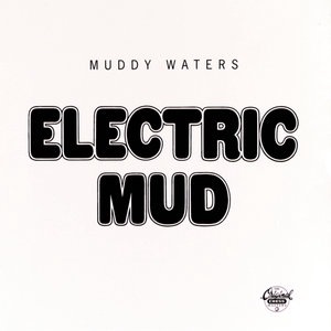 Muddy Waters 85