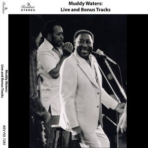 Muddy Waters 77
