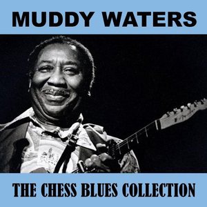 Muddy Waters 75