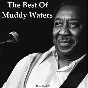 Muddy Waters 72