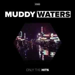 Muddy Waters 67