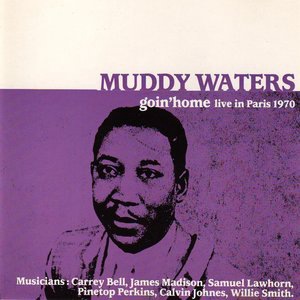 Muddy Waters 65