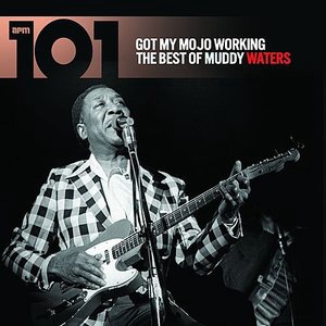 Muddy Waters 51