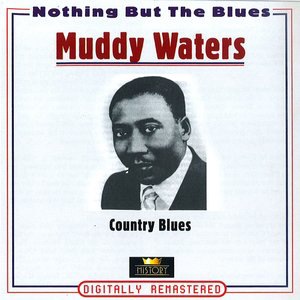 Muddy Waters 49