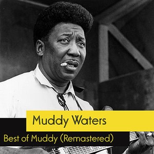 Muddy Waters 46
