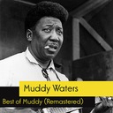 I'M Your Hoochie Coochie Man