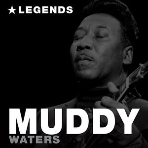 Muddy Waters 45