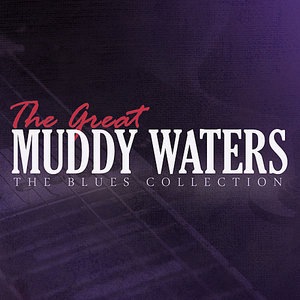 Muddy Waters 41