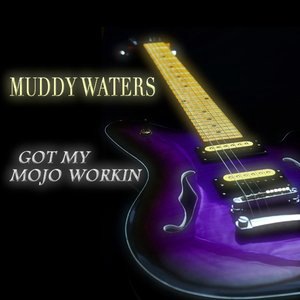 Muddy Waters 39