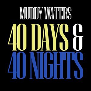 Muddy Waters 33