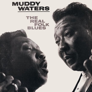 Muddy Waters 31