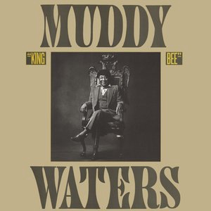 Muddy Waters 27