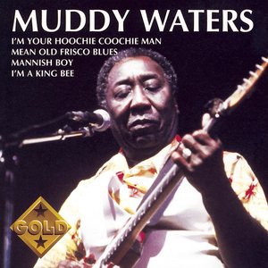 Muddy Waters 25