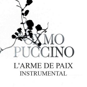 Oxmo Puccino 29