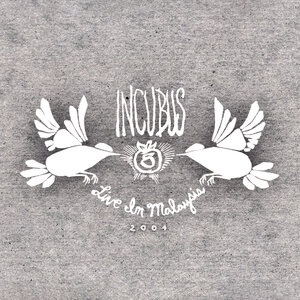 Incubus 13