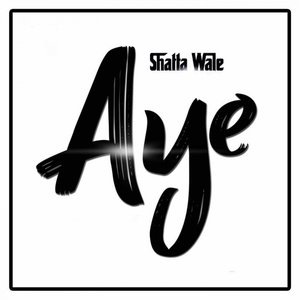 Shatta Wale 73