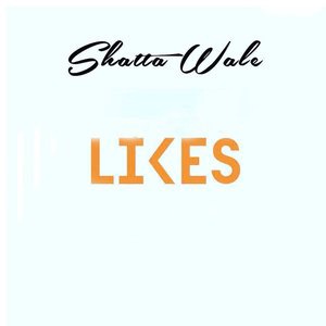 Shatta Wale 47