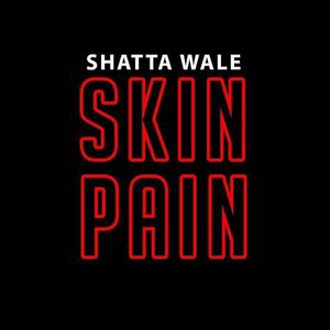Shatta Wale 45