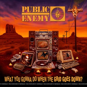 Public Enemy 22