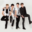 Красные розы