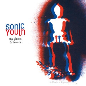 Sonic Youth 20