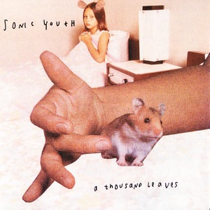 Sonic Youth 15