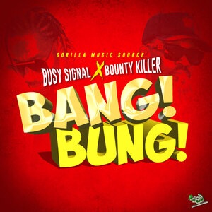 Busy Signal 110